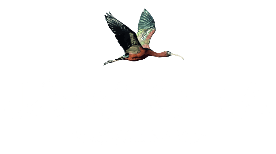 Jawakara